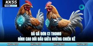 Đá Gà Đơn C1 Thomo KK55 - Đỉnh Cao Đối Đầu Giữa Những Chiến Kê