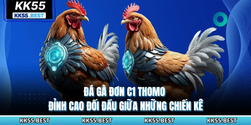 Đá Gà Đơn C1 Thomo KK55 - Đỉnh Cao Đối Đầu Giữa Những Chiến Kê
