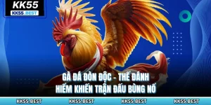 Gà Đá Đòn Độc KK55 - Thế Đánh Hiểm Khiến Trận Đấu Bùng Nổ